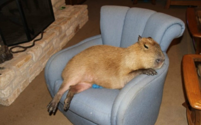 ī14.jpg